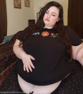 2607333