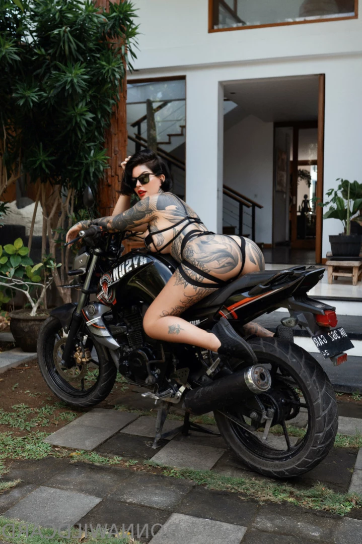 🔥 𝐌𝐫𝐬 𝗪𝗶𝗹𝗱𝗰𝗮𝗿𝗱 🔥 [ wildcard666 ] Onlyfans leaked photo 15257297 on Hotleaks.tv