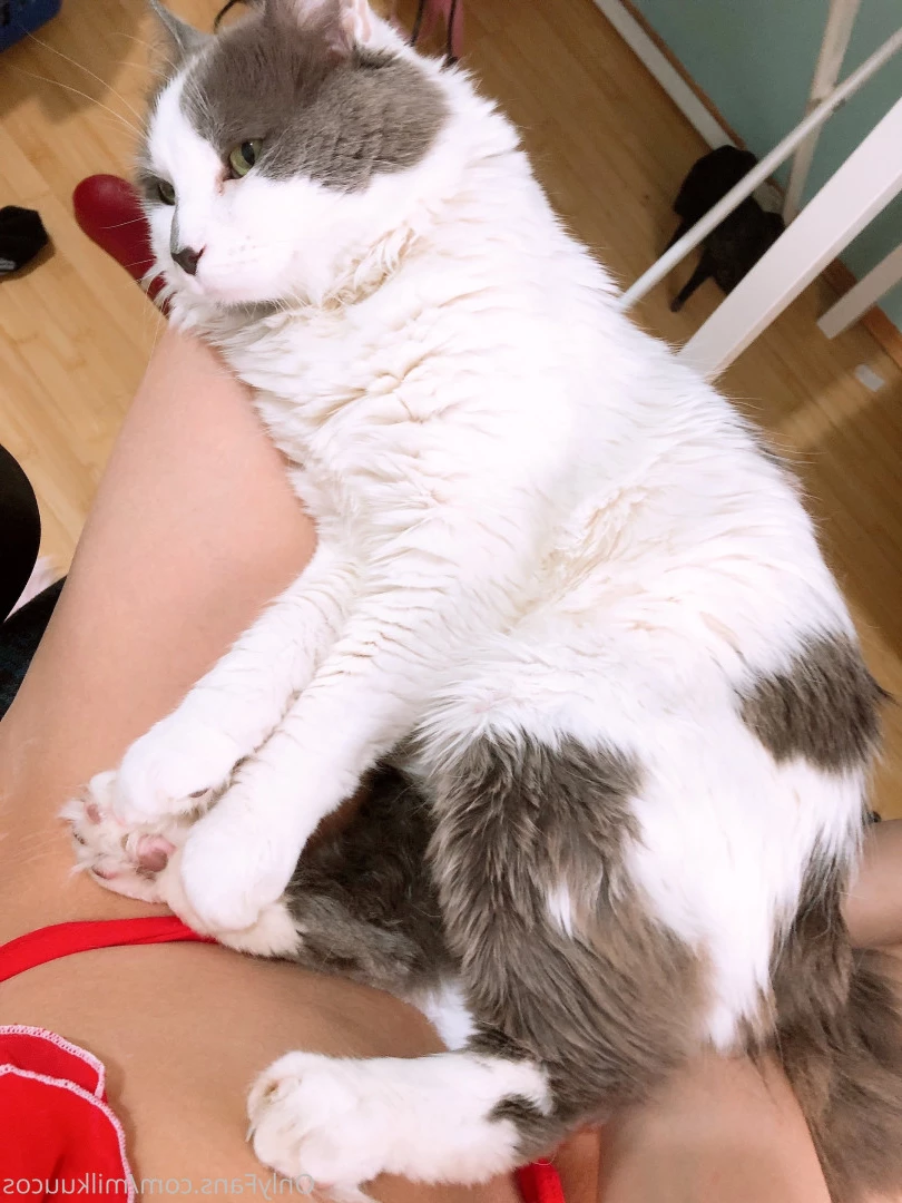 Ame Airi (Milkuu) [ ameairi ] Onlyfans leaked photo 5618785 on Hotleaks.tv
