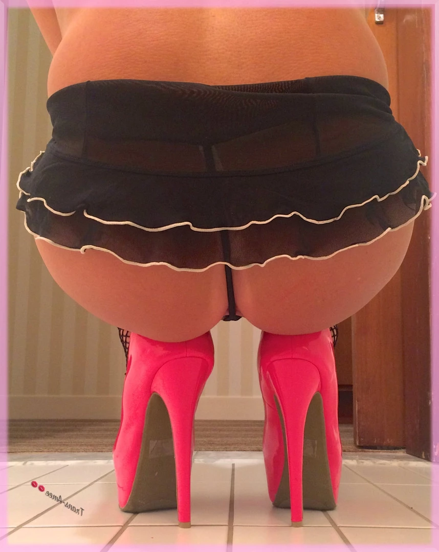 Trans Amee [ ameetrans ] Onlyfans leaked photo 6140912 on Hotleaks.tv