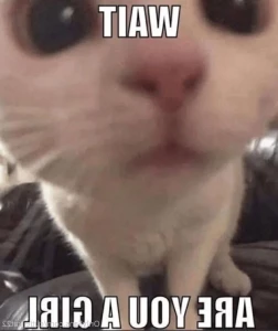 5622055