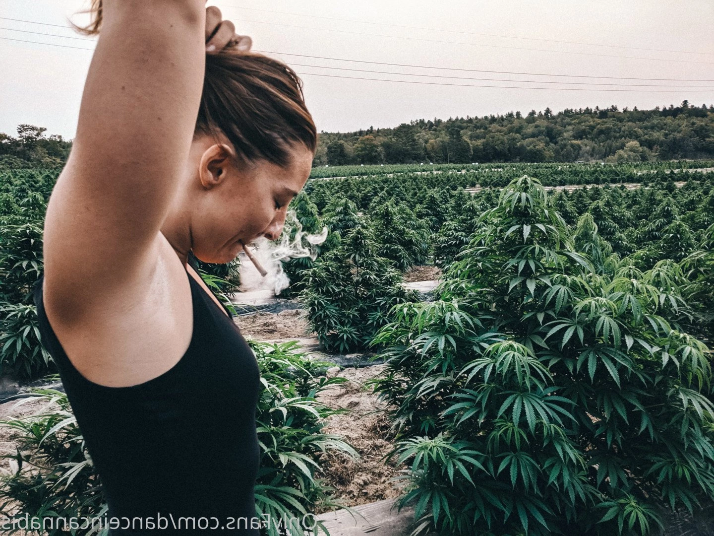Juliet Jones [ danceincannabis ] Onlyfans leaked photo 5126732 on Hotleaks.tv