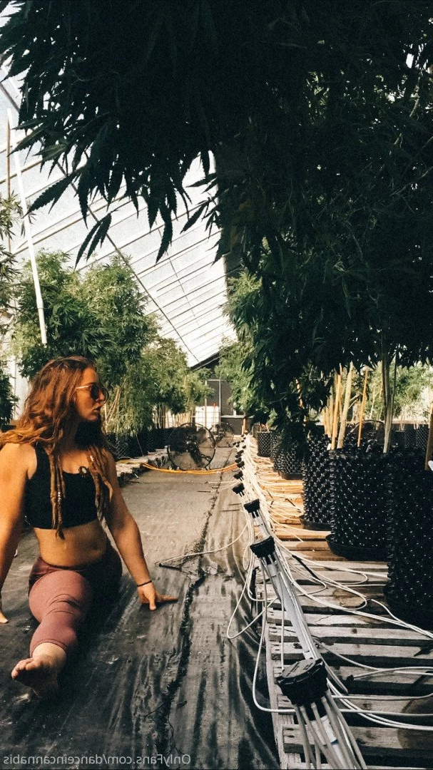 Juliet Jones [ danceincannabis ] Onlyfans leaked photo 5127271 on Hotleaks.tv