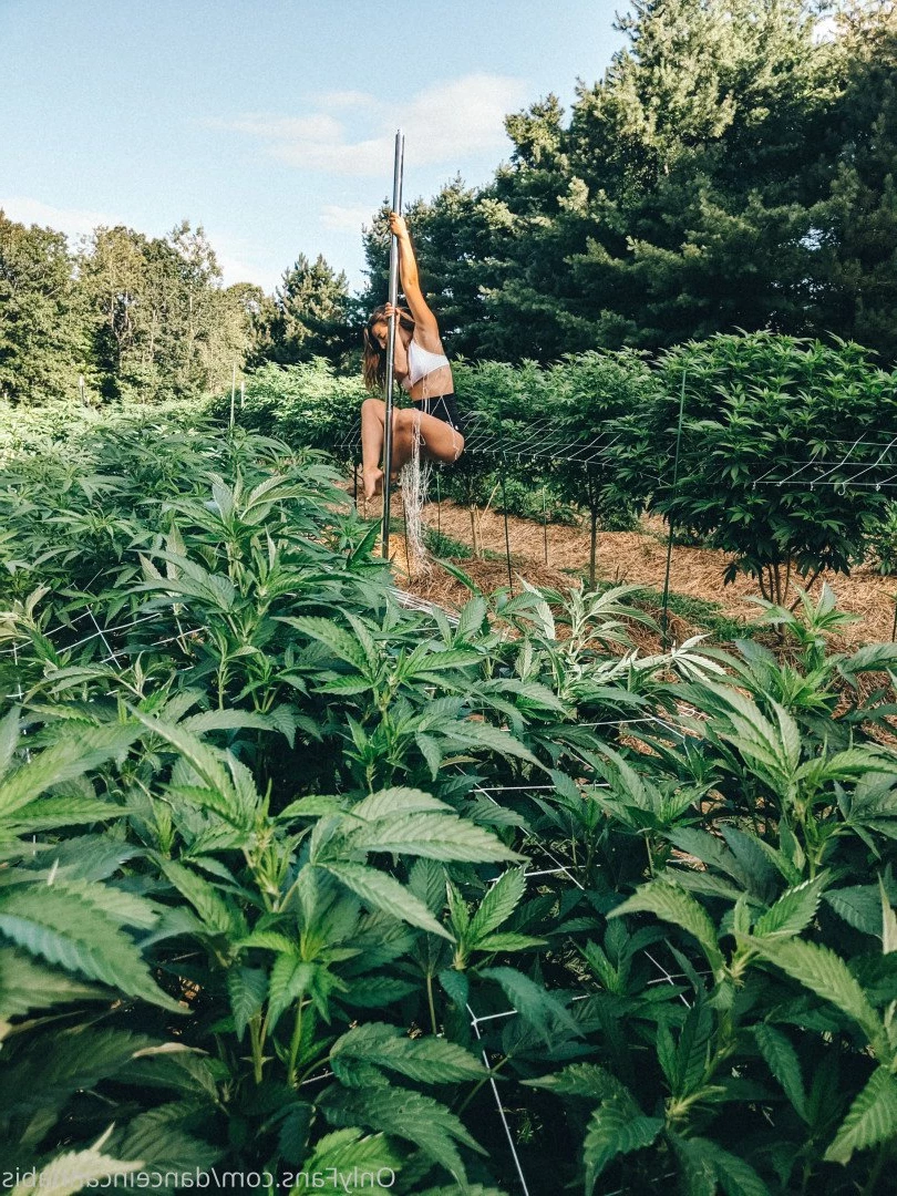 Juliet Jones [ danceincannabis ] Onlyfans leaked photo 5127423 on Hotleaks.tv