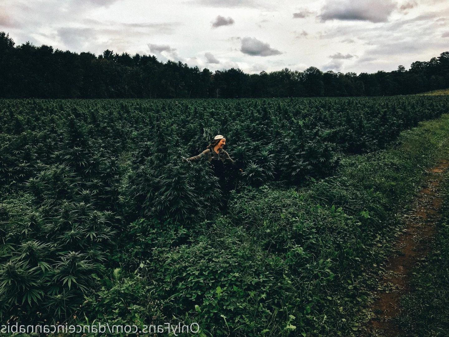 Juliet Jones [ danceincannabis ] Onlyfans leaked photo 5127470 on Hotleaks.tv