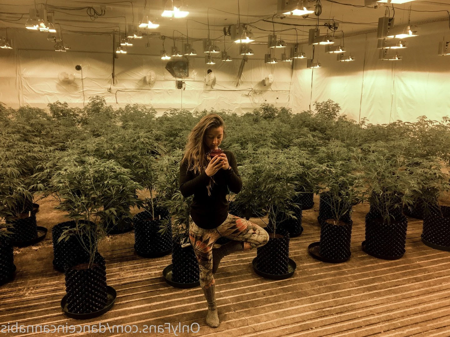 Juliet Jones [ danceincannabis ] Onlyfans leaked photo 5127799 on Hotleaks.tv