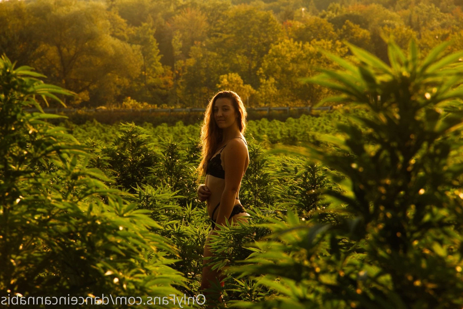 Juliet Jones [ danceincannabis ] Onlyfans leaked photo 5128203 on Hotleaks.tv