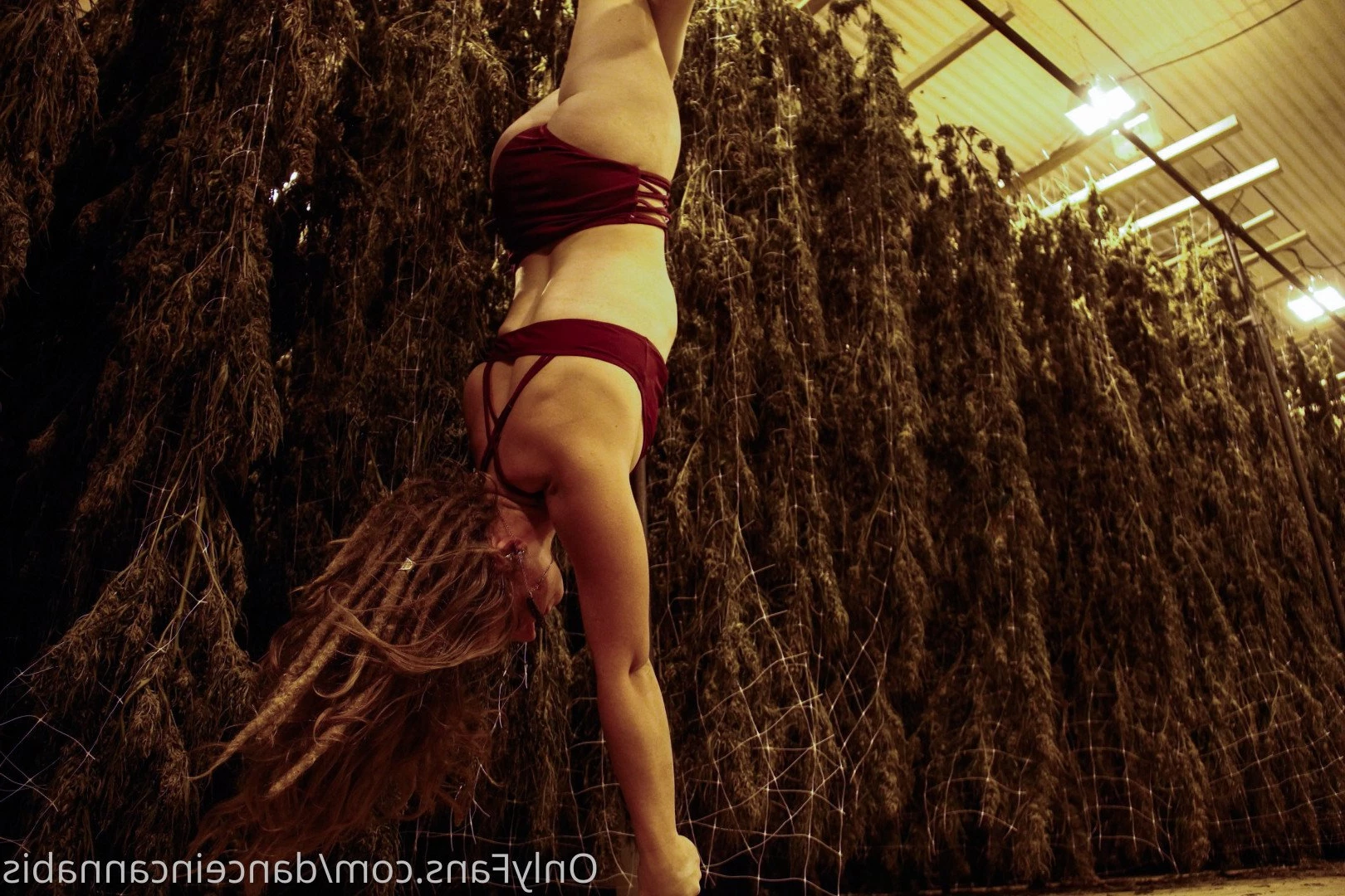 Juliet Jones [ danceincannabis ] Onlyfans leaked photo 5128284 on Hotleaks.tv