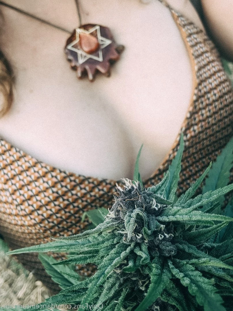 Juliet Jones [ danceincannabis ] Onlyfans leaked photo 5128360 on Hotleaks.tv