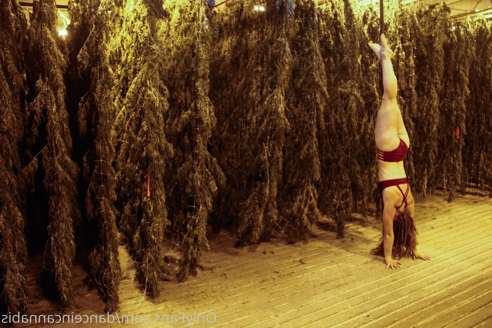 Juliet Jones [ danceincannabis ] Onlyfans leaked photo 5128494 on Hotleaks.tv