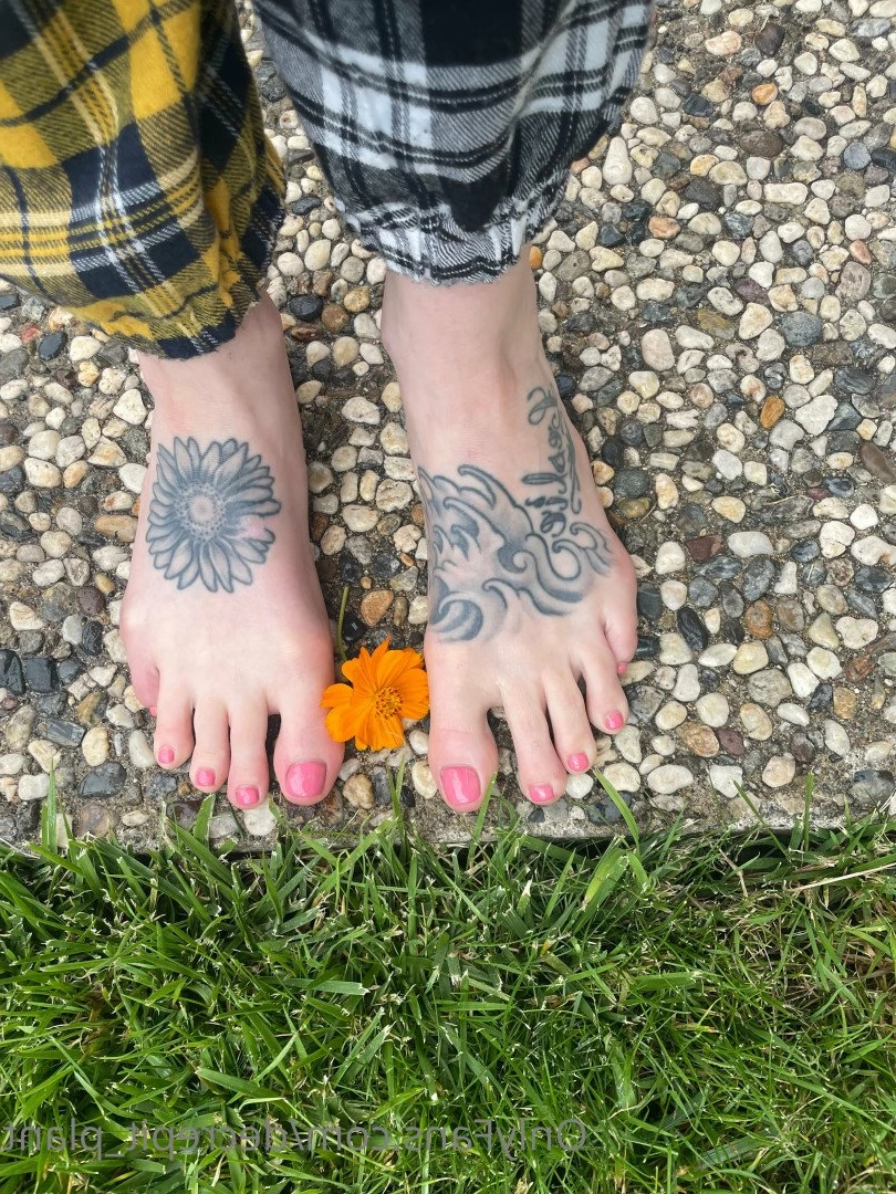 decrepit_plant Onlyfans leaked photo 5191475 on Hotleaks.tv