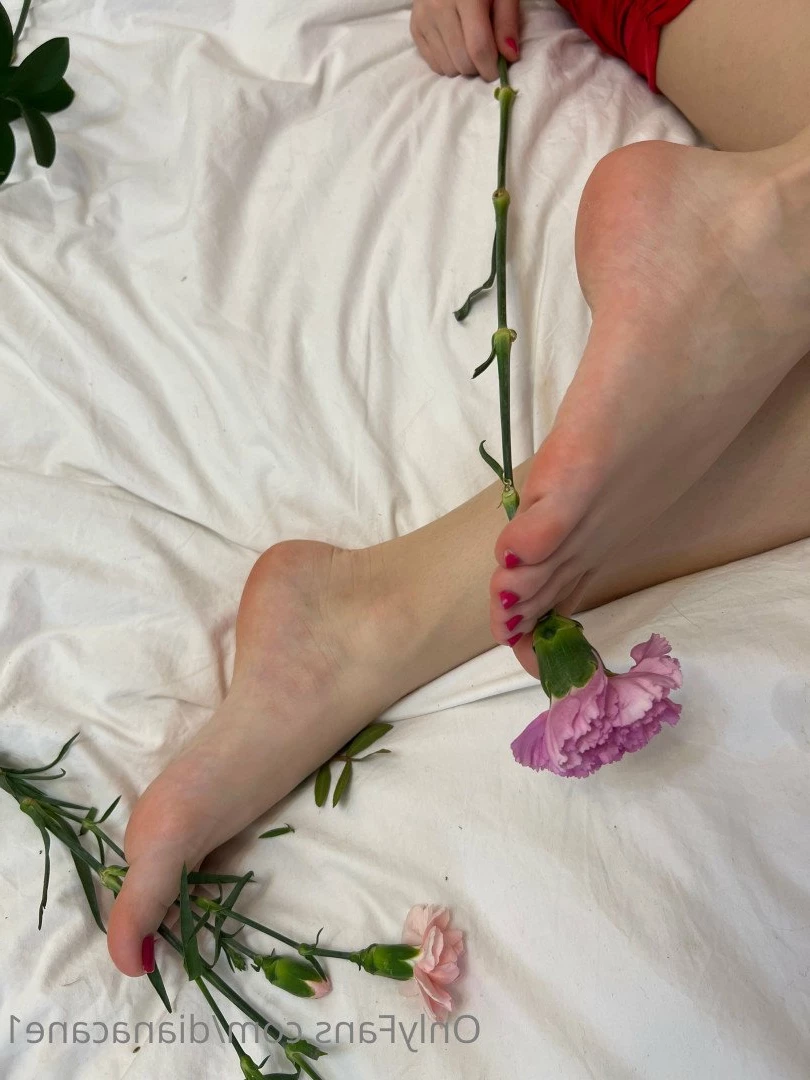 GODDESS DIANA 😏 fetish lover 👅 [ dianacane1 ] Onlyfans leaked photo 5103720 on Hotleaks.tv