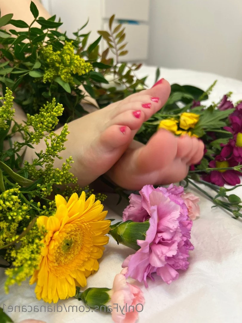 GODDESS DIANA 😏 fetish lover 👅 [ dianacane1 ] Onlyfans leaked photo 5104377 on Hotleaks.tv