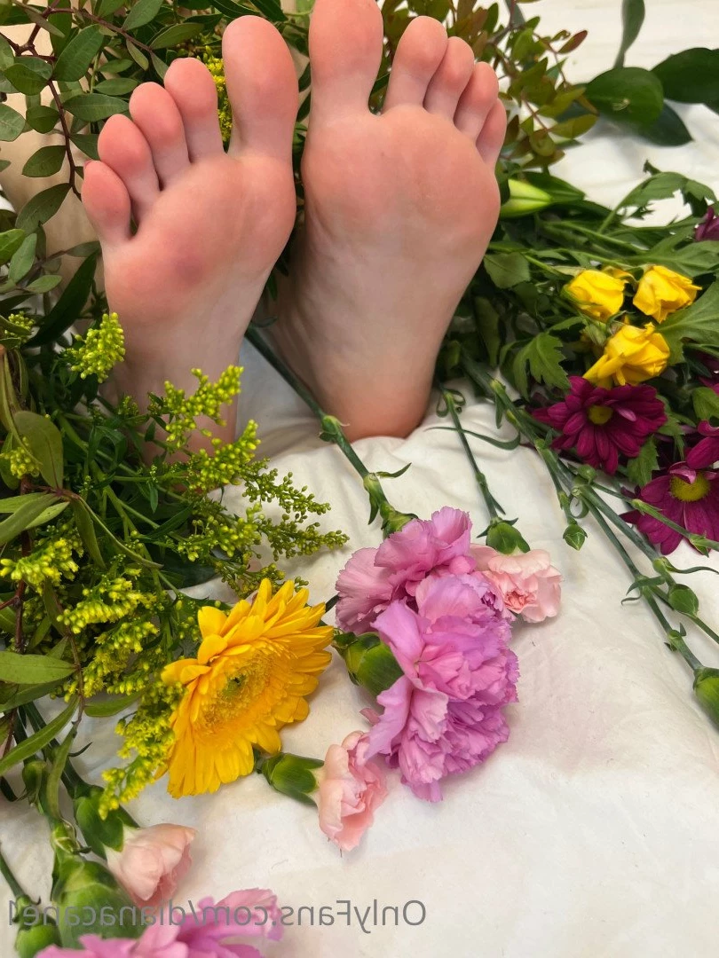 GODDESS DIANA 😏 fetish lover 👅 [ dianacane1 ] Onlyfans leaked photo 5114482 on Hotleaks.tv