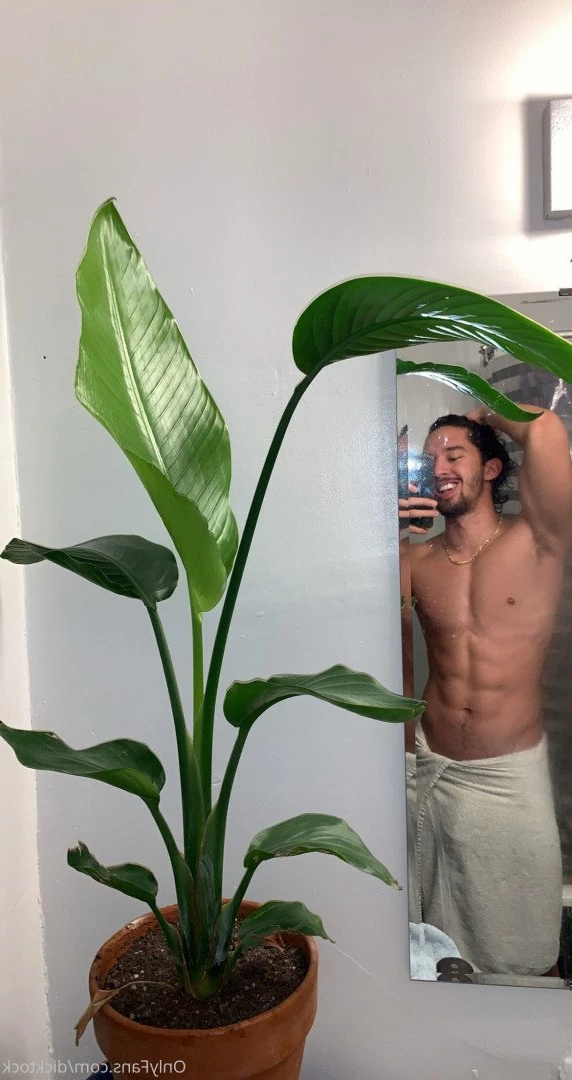 dicktock Onlyfans leaked photo 5124878 on Hotleaks.tv