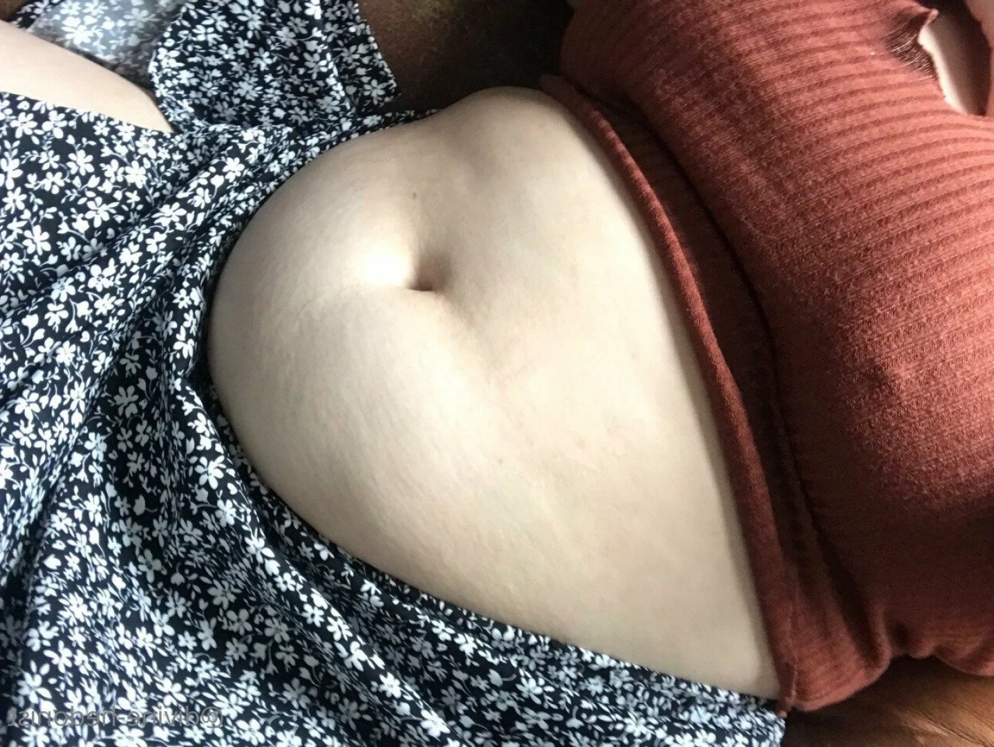 eva! 🥀 Feedee &amp; FFA [ divine-hedonist-free ] Onlyfans leaked photo 5108460 on Hotleaks.tv