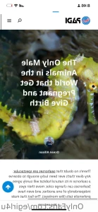 14539182