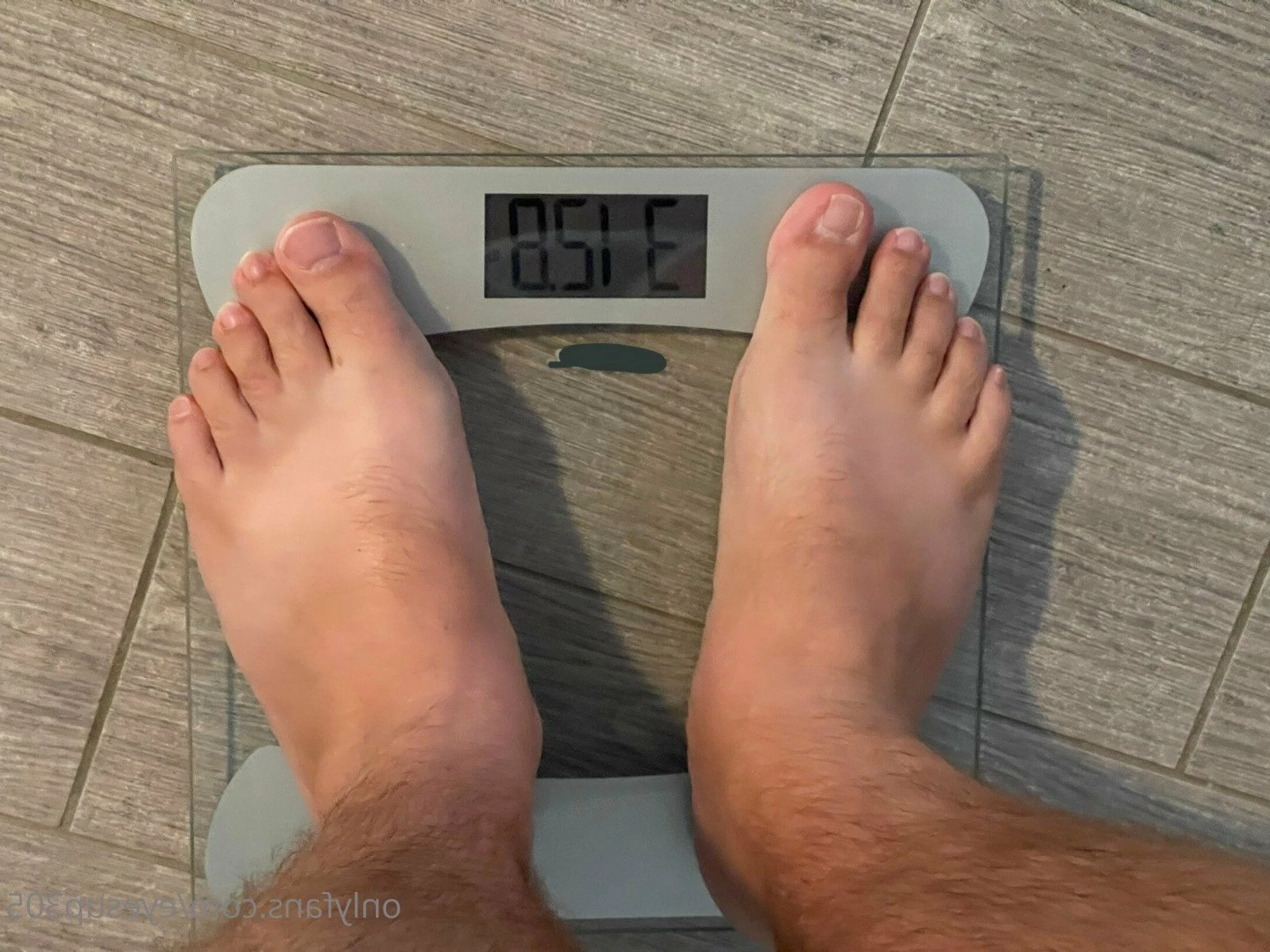 Big Fat Bear [ eyesup305 ] Onlyfans leaked photo 5084894 on Hotleaks.tv