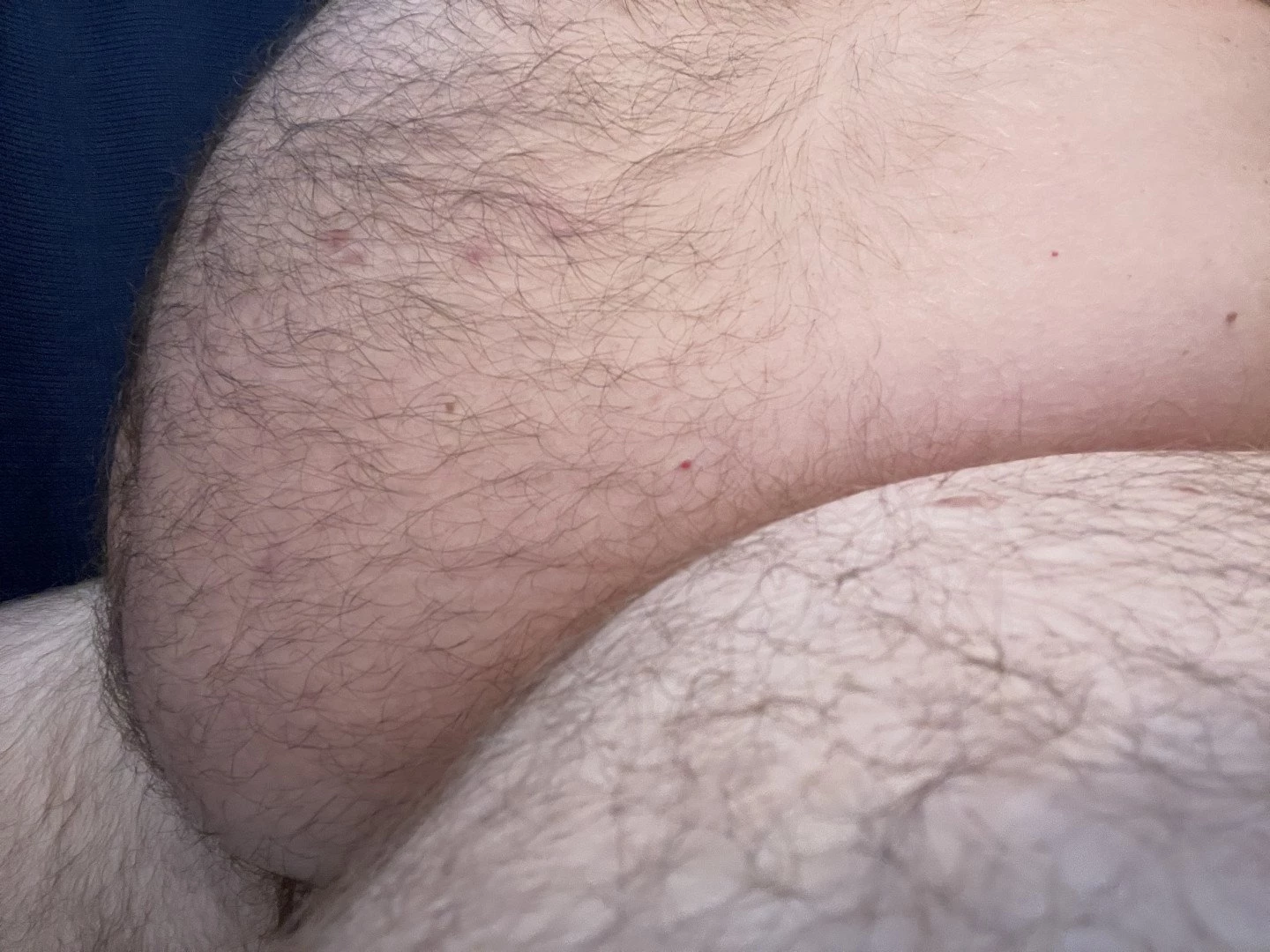 Big Fat Bear [ eyesup305 ] Onlyfans leaked photo 5088246 on Hotleaks.tv