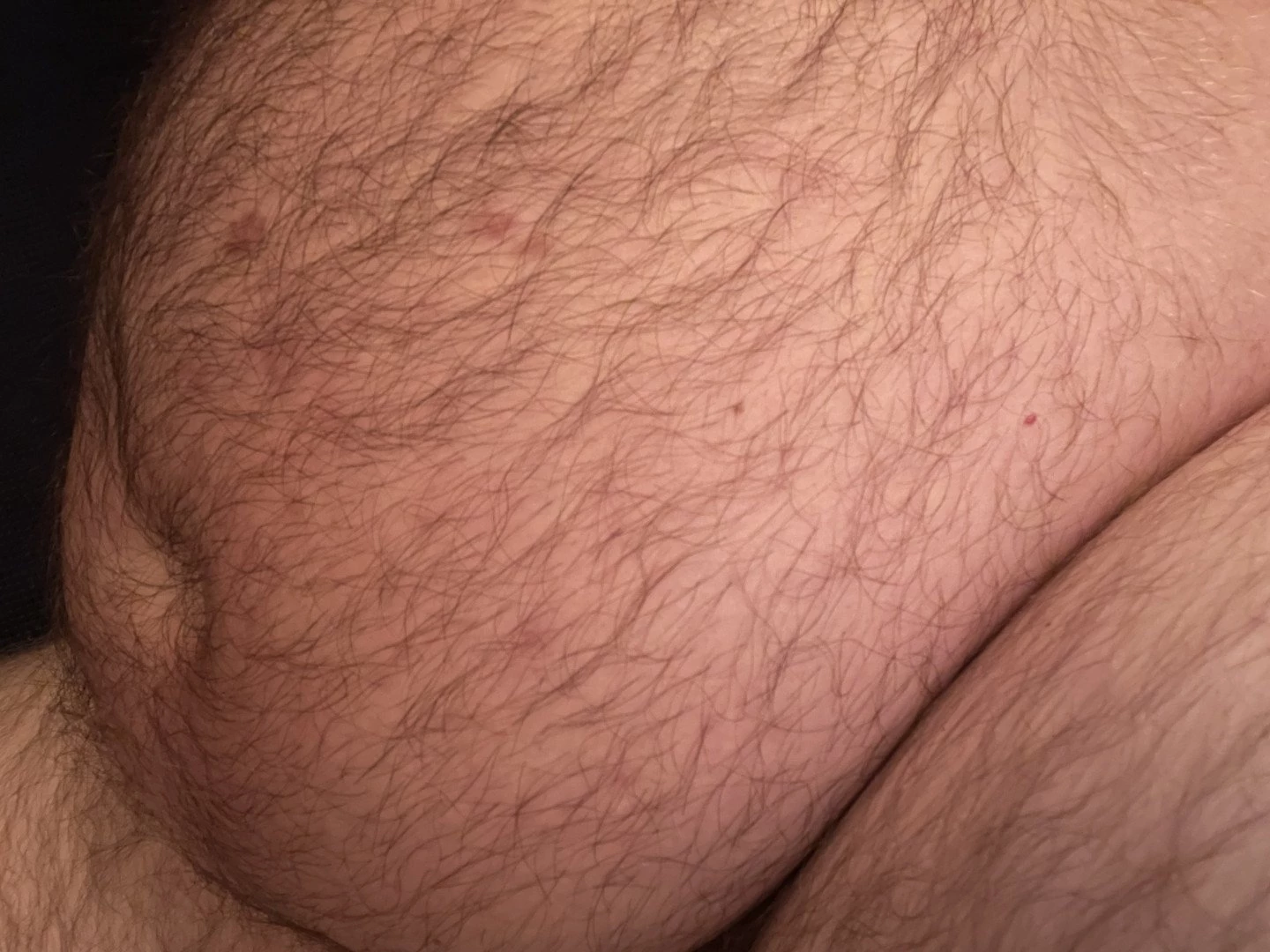 Big Fat Bear [ eyesup305 ] Onlyfans leaked photo 5098500 on Hotleaks.tv