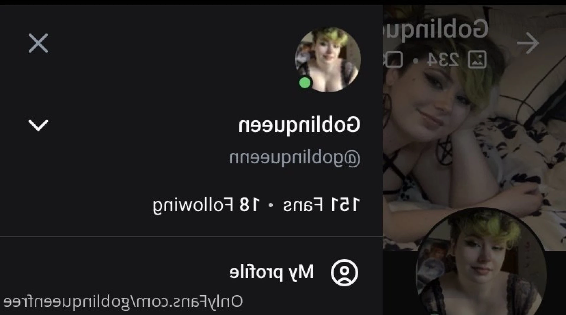goblinqueenfree Onlyfans leaked photo 5696155 on Hotleaks.tv