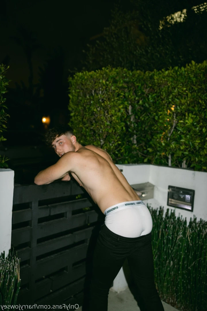 Harry Jowsey [ harryjowsey ] Onlyfans leaked photo 5595683 on Hotleaks.tv