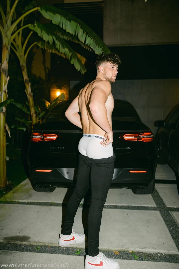 Harry Jowsey [ harryjowsey ] Onlyfans leaked photo 5595735 on Hotleaks.tv