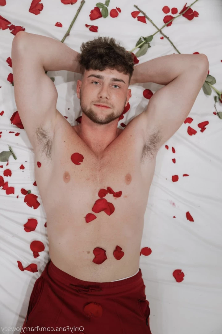 Harry Jowsey [ harryjowsey ] Onlyfans leaked photo 5595869 on Hotleaks.tv