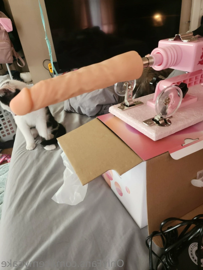 Trashley⚜ [ icemycake ] Onlyfans leaked photo 12807901 on Hotleaks.tv