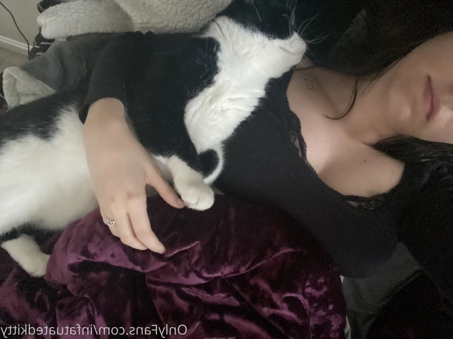 Kali $3 sale! 💜 [ infatuatedkitty ] Onlyfans leaked photo 5661984 on Hotleaks.tv