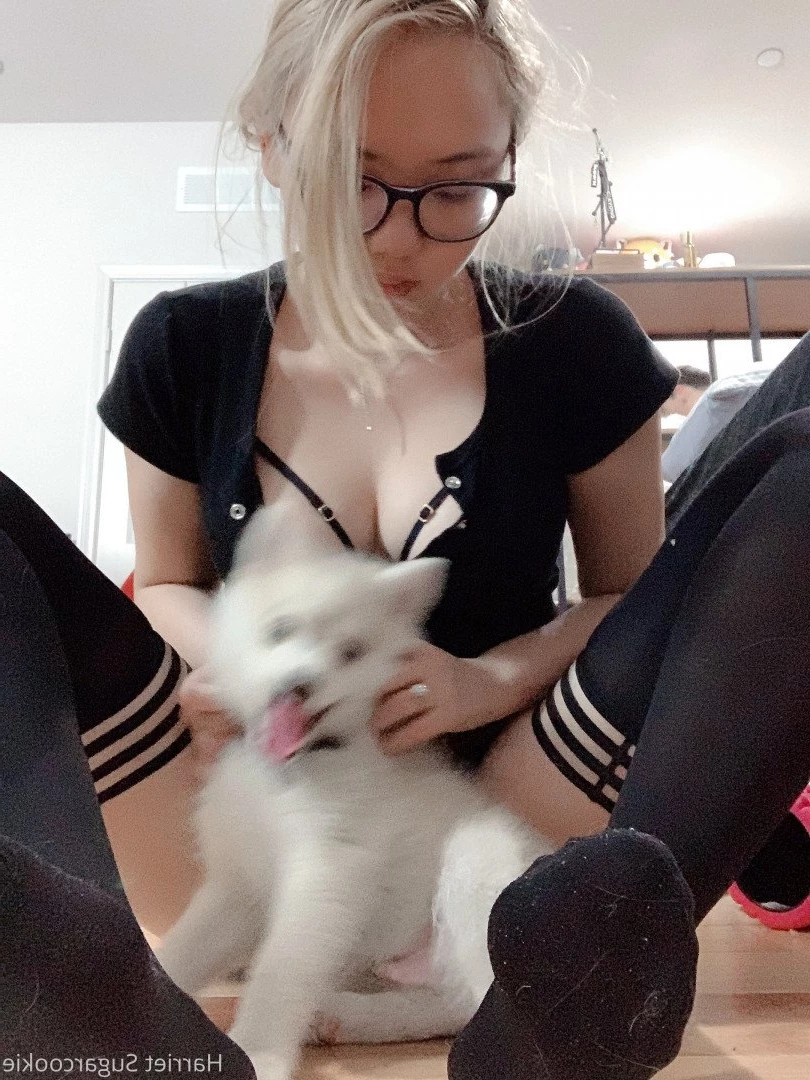 Harriet Sugarcookie [ harrietsugarcookie ] Onlyfans leaked photo 472282 on Hotleaks.tv