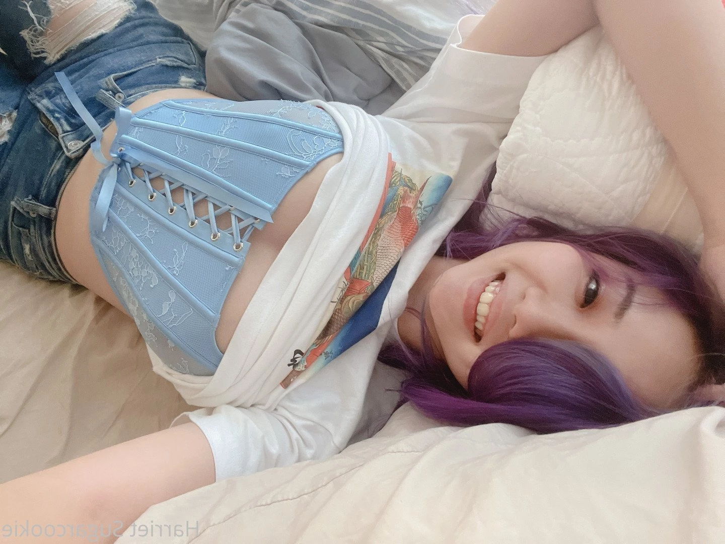 Harriet Sugarcookie [ harrietsugarcookie ] Onlyfans leaked photo 472824 on Hotleaks.tv