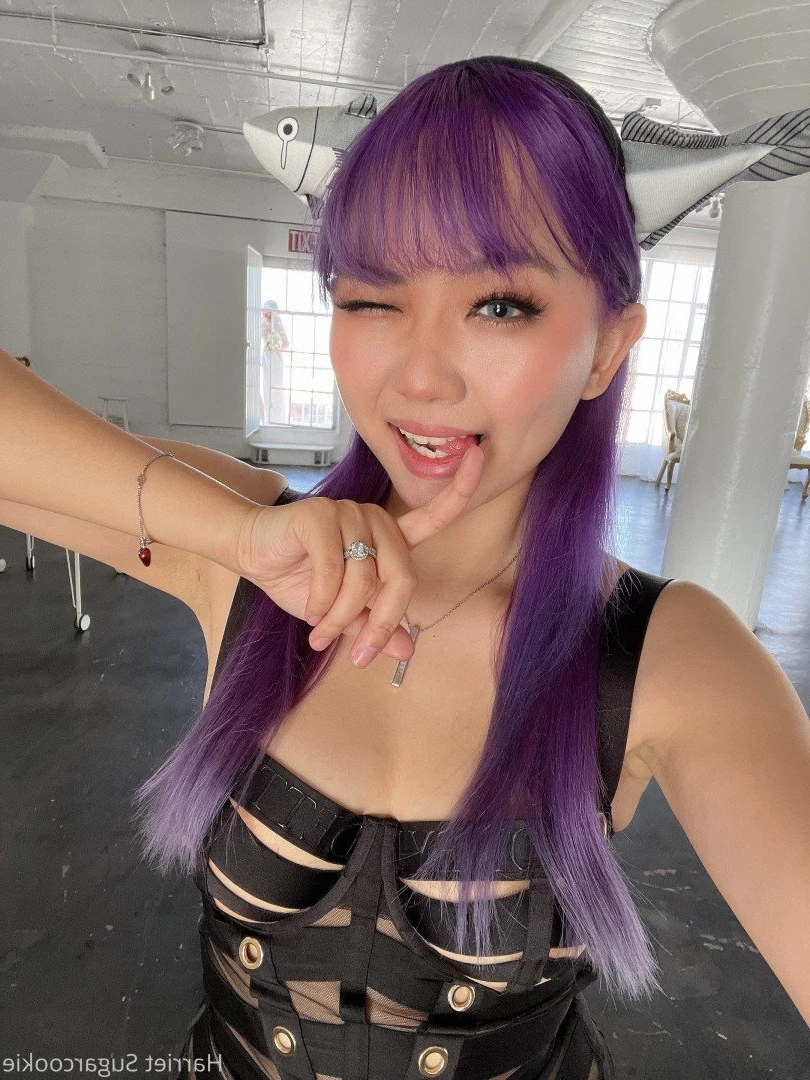 Harriet Sugarcookie [ harrietsugarcookie ] Onlyfans leaked photo 473592 on Hotleaks.tv
