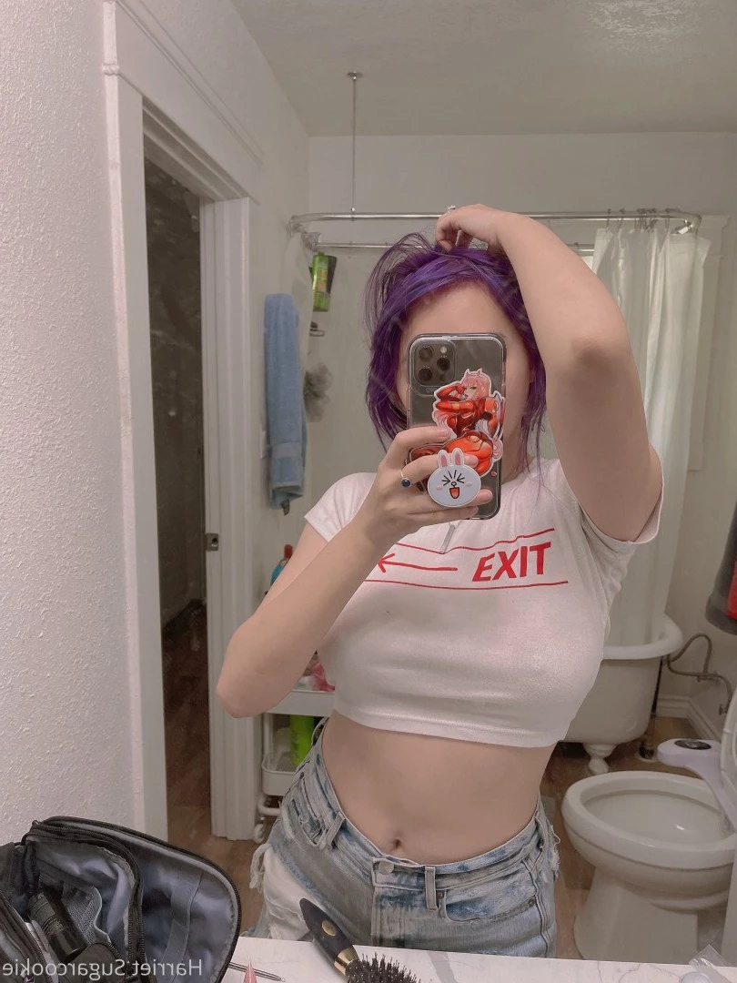 Harriet Sugarcookie [ harrietsugarcookie ] Onlyfans leaked photo 474120 on Hotleaks.tv
