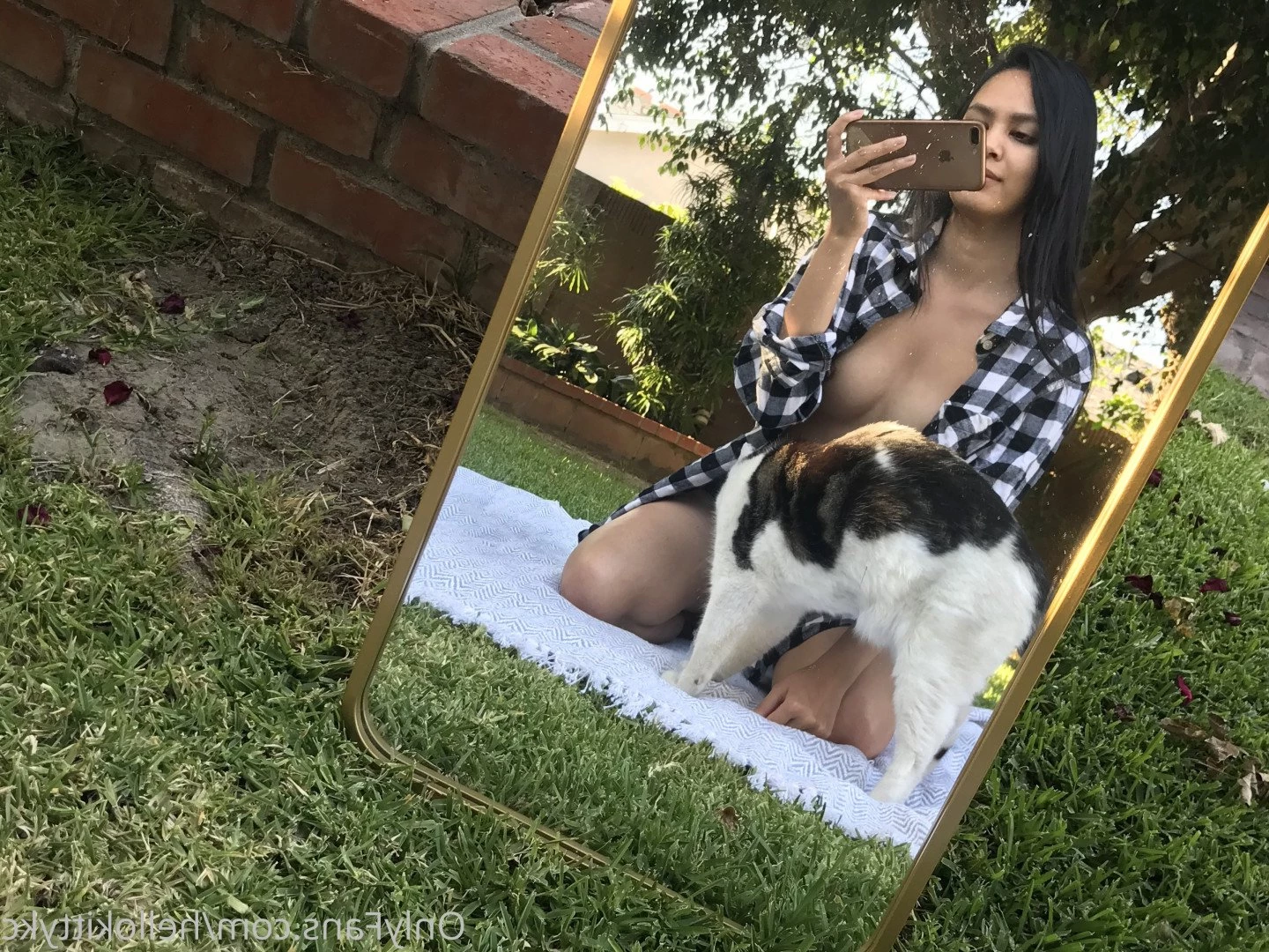 K [ hellokittykc ] Onlyfans leaked photo 480498 on Hotleaks.tv