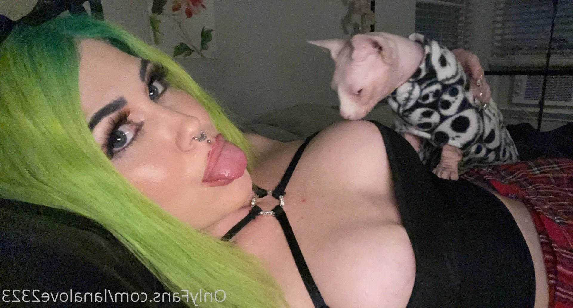 lanalove2323 Onlyfans leaked photo 5374730 on Hotleaks.tv