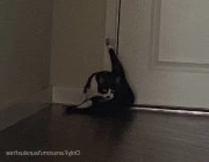 5424189