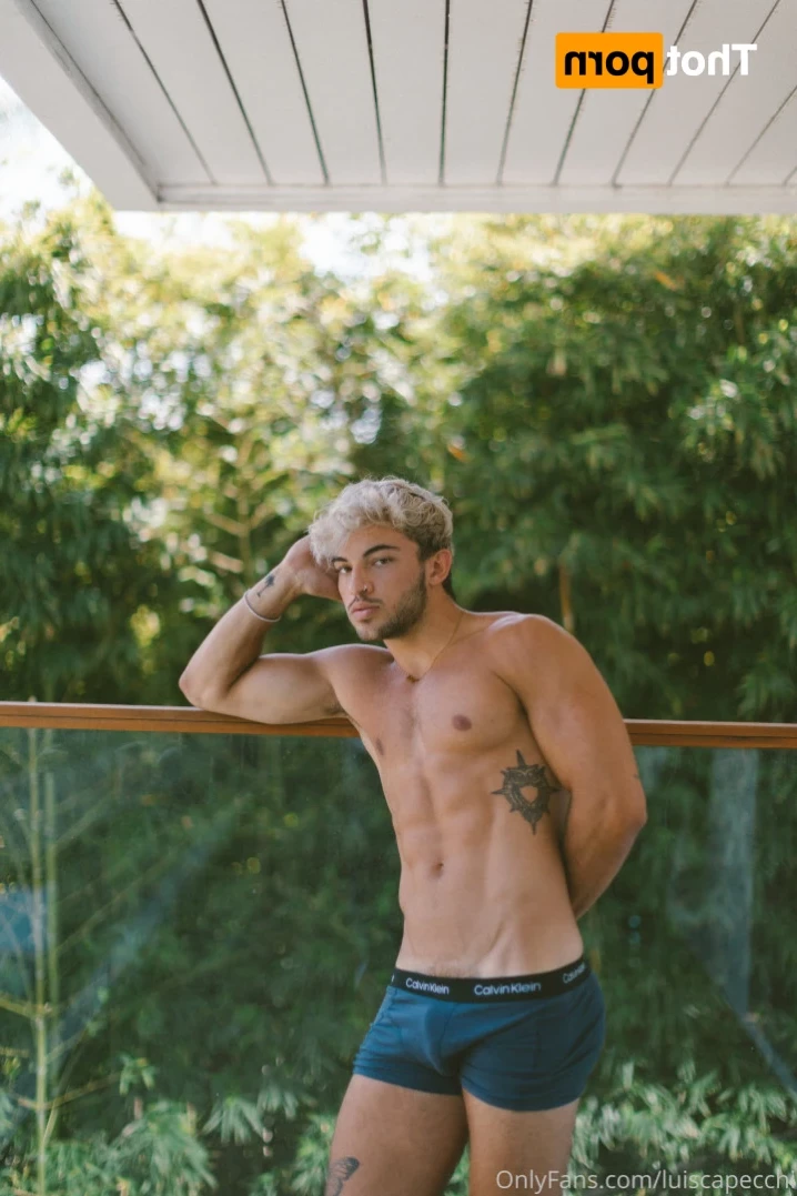 LC [ luiscapecchi ] Onlyfans leaked photo 11787232 on Hotleaks.tv