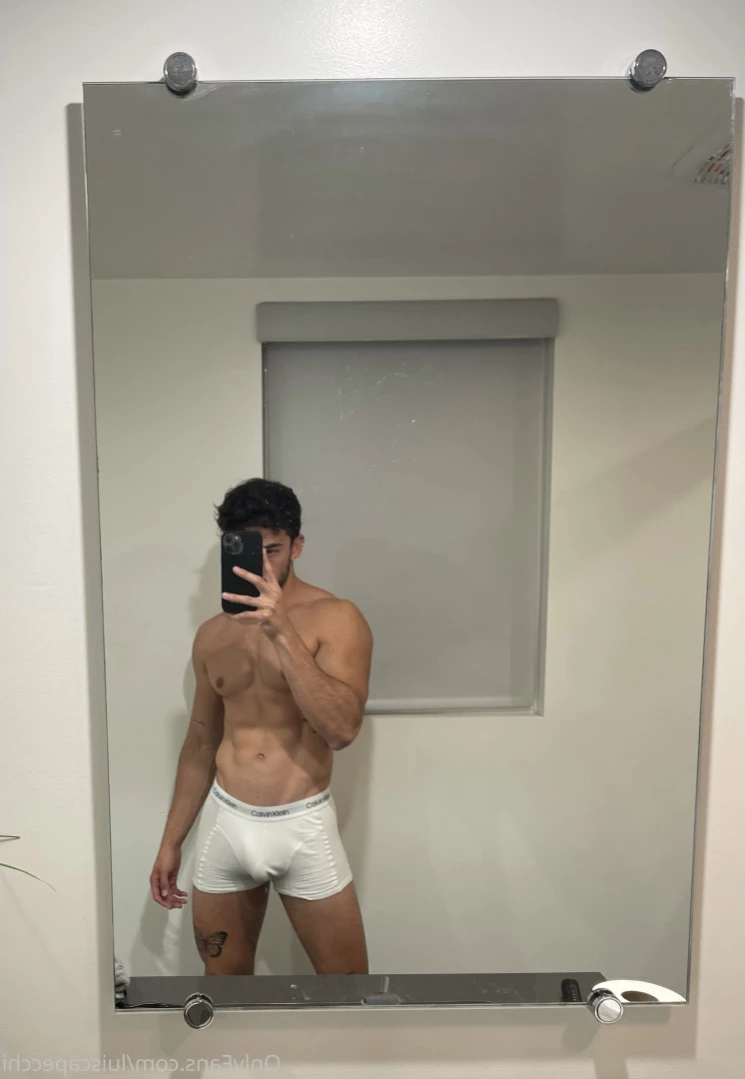 LC [ luiscapecchi ] Onlyfans leaked photo 12828756 on Hotleaks.tv
