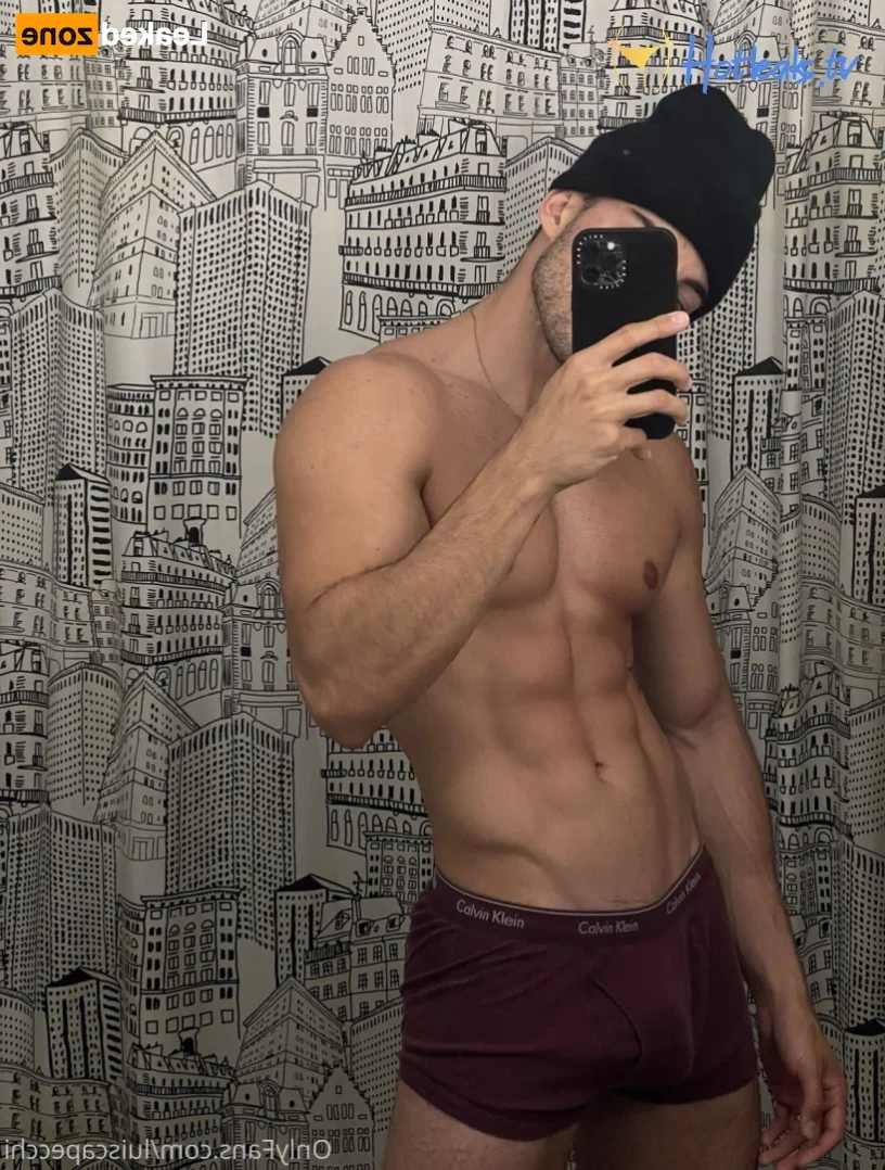 LC [ luiscapecchi ] Onlyfans leaked photo 14111005 on Hotleaks.tv