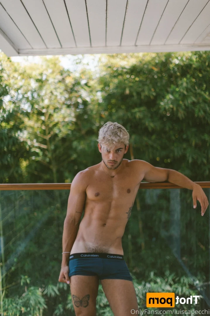 LC [ luiscapecchi ] Onlyfans leaked photo 16008199 on Hotleaks.tv