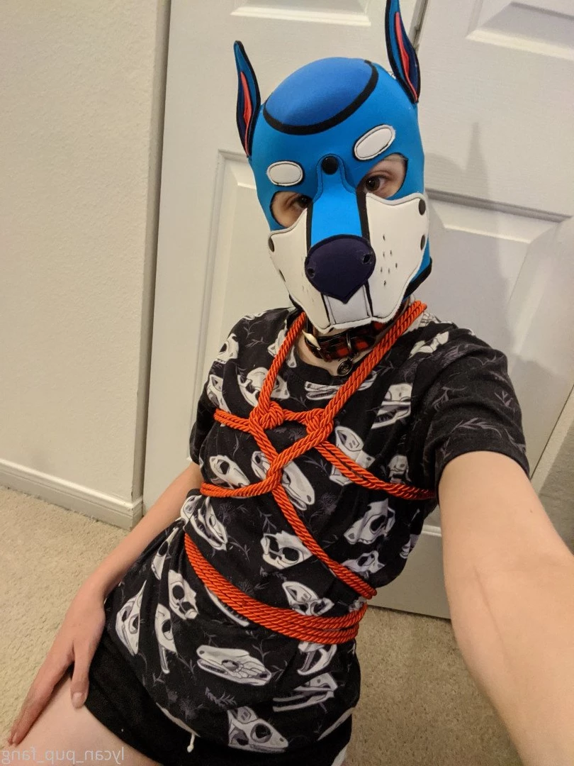 Pup's Kinky Den [ lycan_pup_fang ] Onlyfans leaked photo 5423982 on Hotleaks.tv