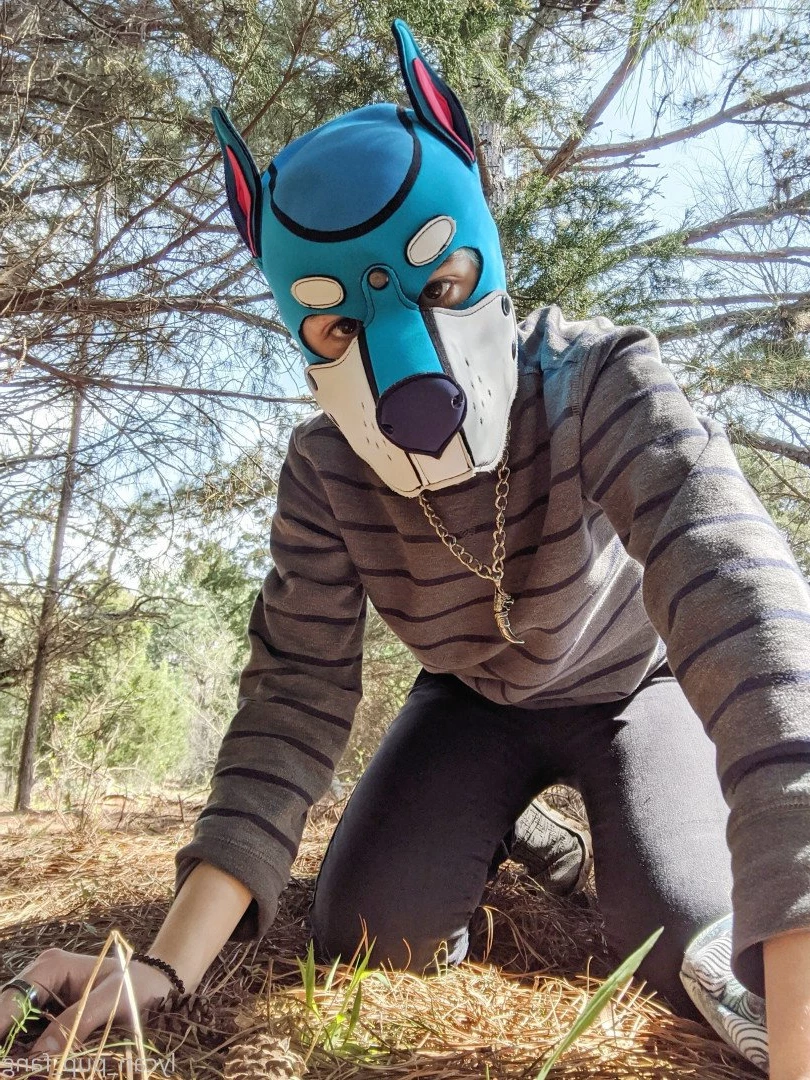 Pup's Kinky Den [ lycan_pup_fang ] Onlyfans leaked photo 5424023 on Hotleaks.tv