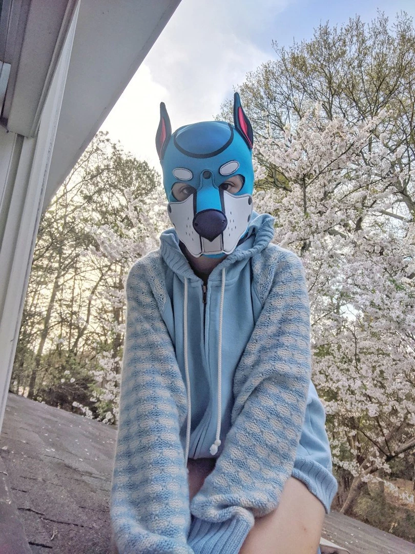 Pup's Kinky Den [ lycan_pup_fang ] Onlyfans leaked photo 5424935 on Hotleaks.tv