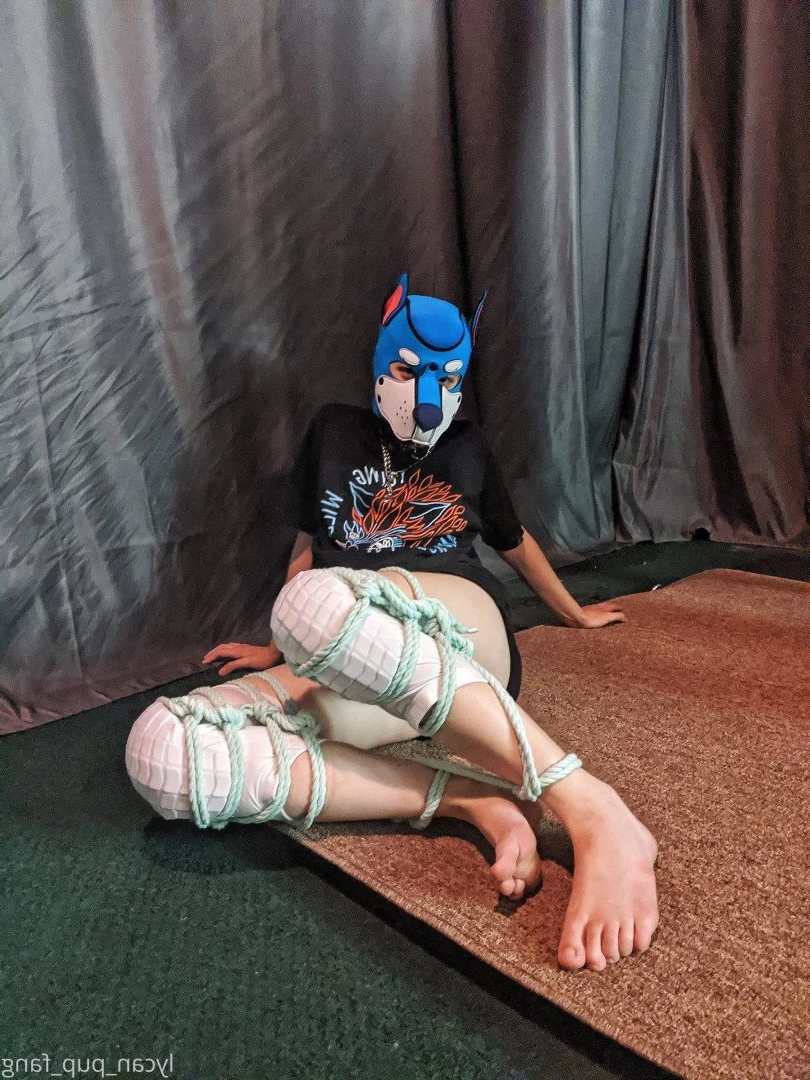 Pup's Kinky Den [ lycan_pup_fang ] Onlyfans leaked photo 5425036 on Hotleaks.tv
