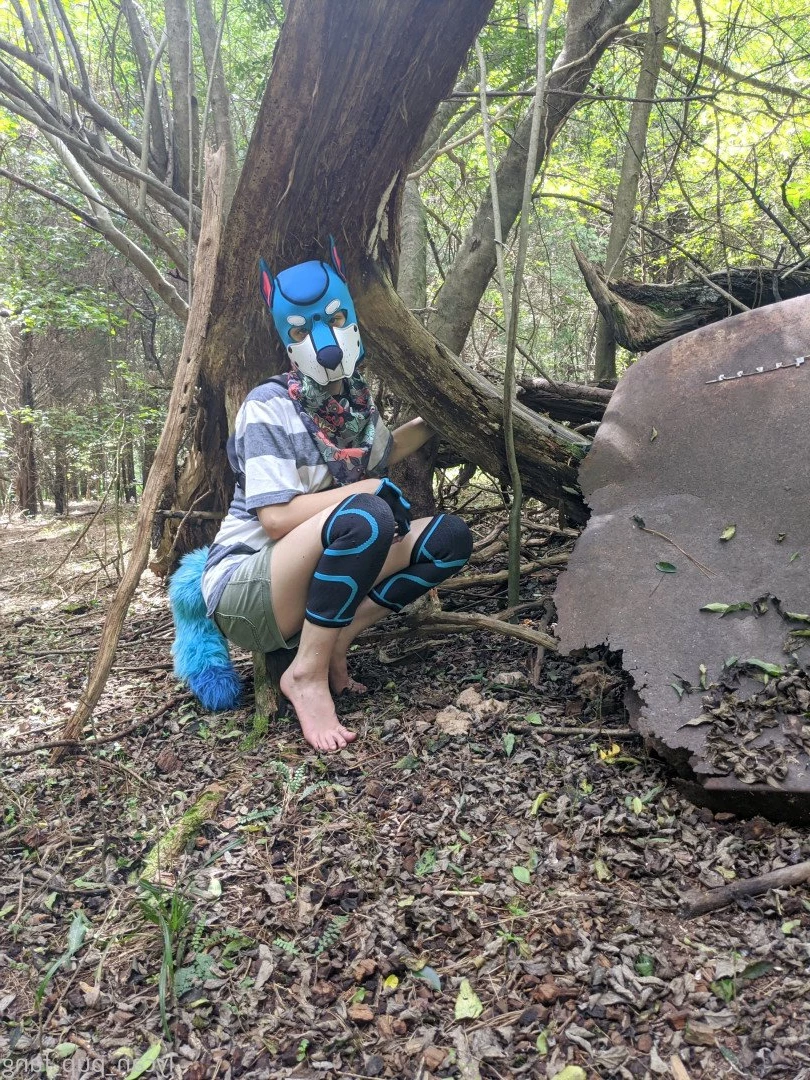 Pup's Kinky Den [ lycan_pup_fang ] Onlyfans leaked photo 5425408 on Hotleaks.tv