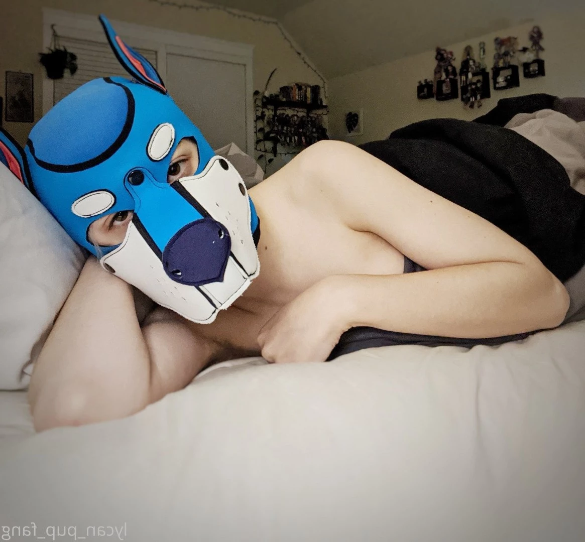 Pup's Kinky Den [ lycan_pup_fang ] Onlyfans leaked photo 5425471 on Hotleaks.tv