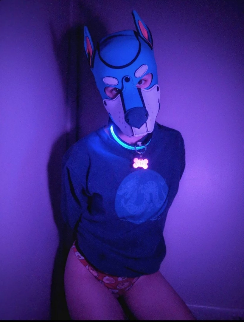 Pup's Kinky Den [ lycan_pup_fang ] Onlyfans leaked photo 5425631 on Hotleaks.tv