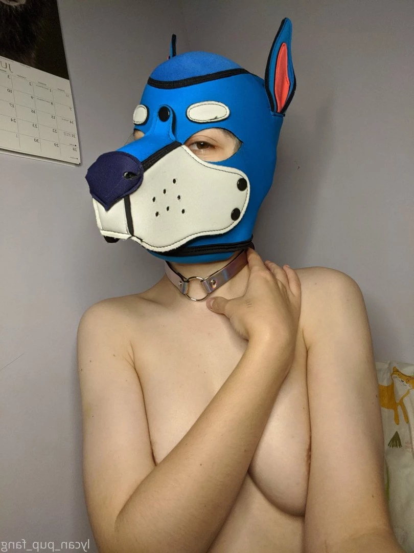 Pup's Kinky Den [ lycan_pup_fang ] Onlyfans leaked photo 5425818 on Hotleaks.tv