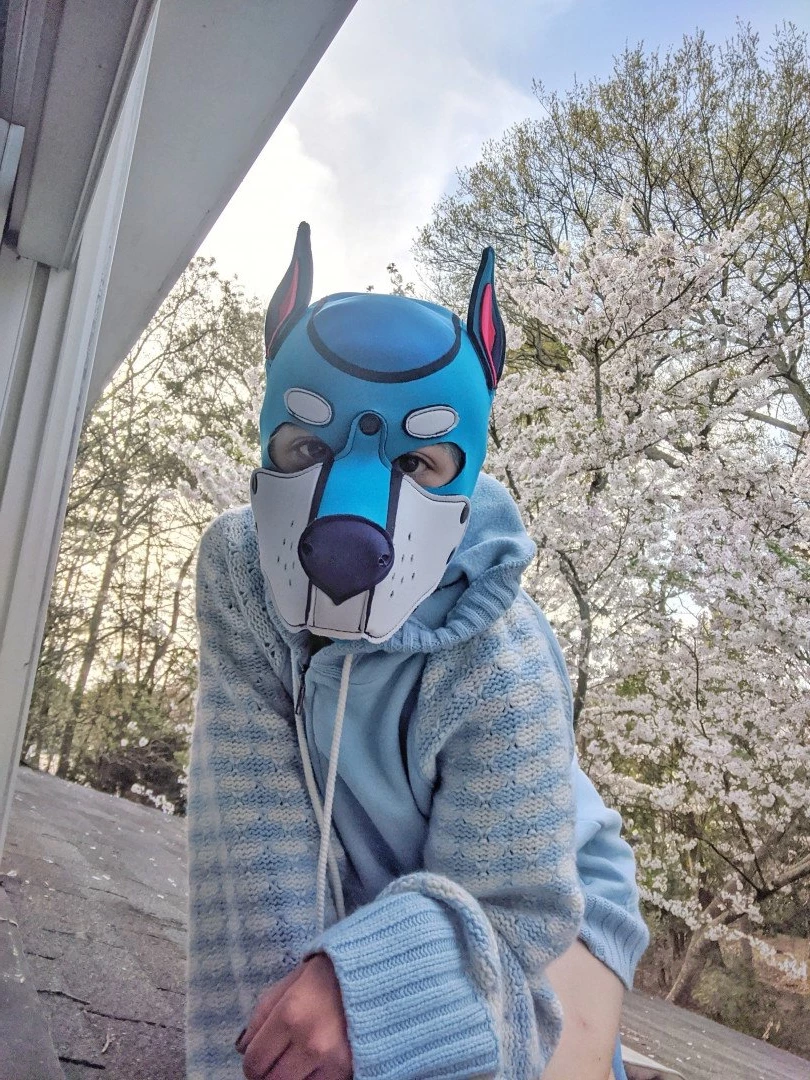 Pup's Kinky Den [ lycan_pup_fang ] Onlyfans leaked photo 5426031 on Hotleaks.tv